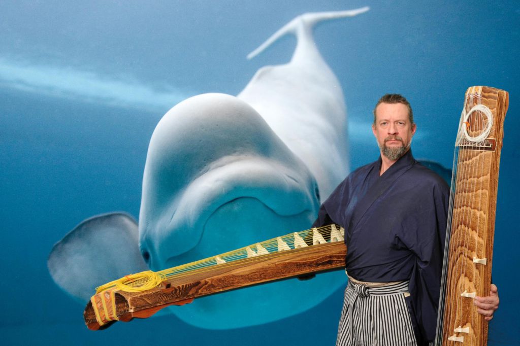 Jeff Wichman 5 shirts 2 Kotos 1 Beluga Whale